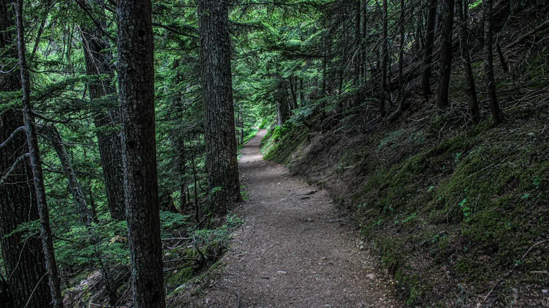 Introduction Embracing the Path Less Traveled